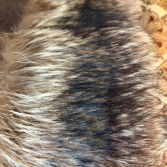 BCBG Fur Trimmed Coat - Picture 3 of 4